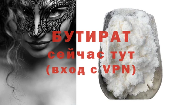 молекула духа Вяземский