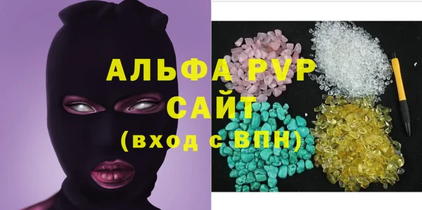 индика Сатка