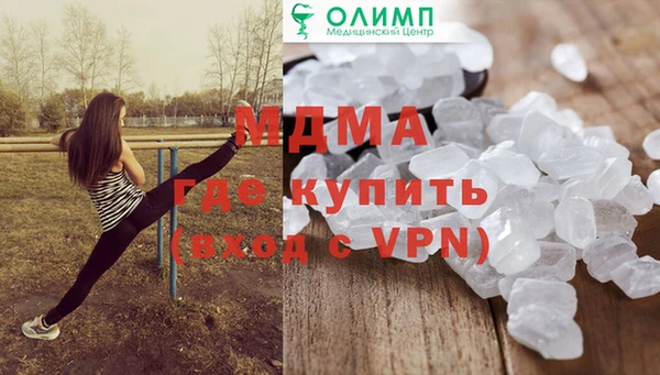 молекула духа Вяземский