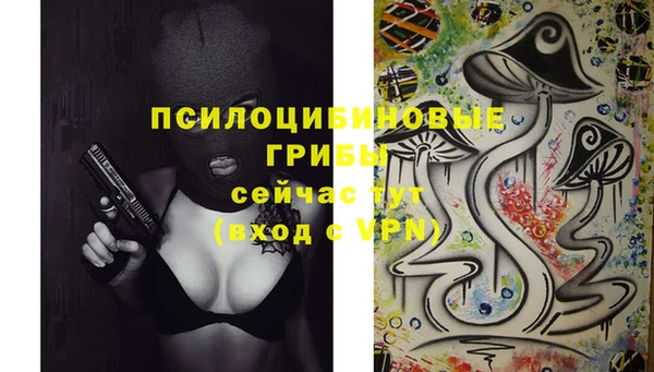 хмурый Вязники