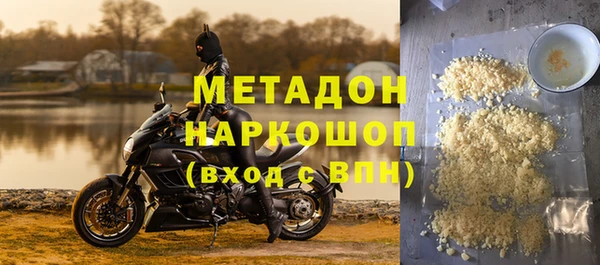 молекула духа Вяземский