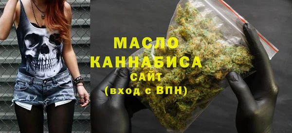 молекула духа Вяземский