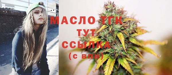 молекула духа Вяземский