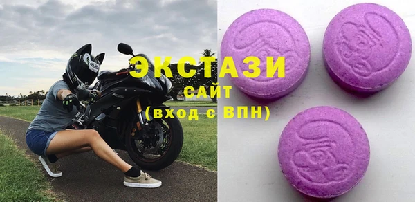молекула духа Вяземский