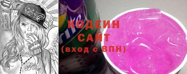 молекула духа Вяземский