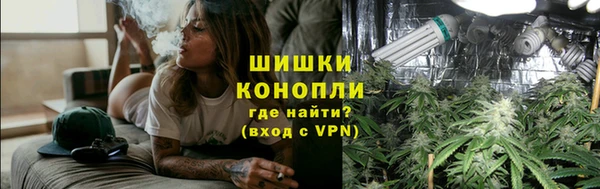 индика Сатка