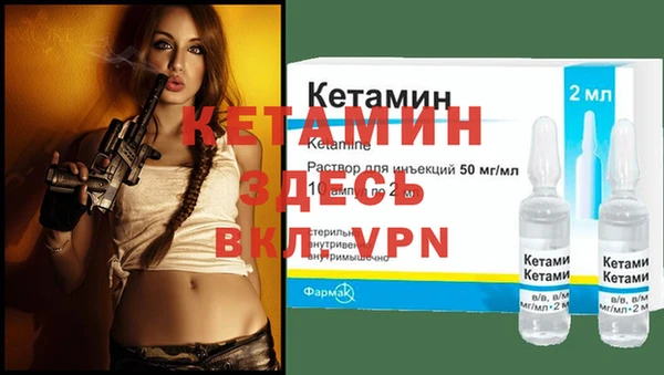 молекула духа Вяземский